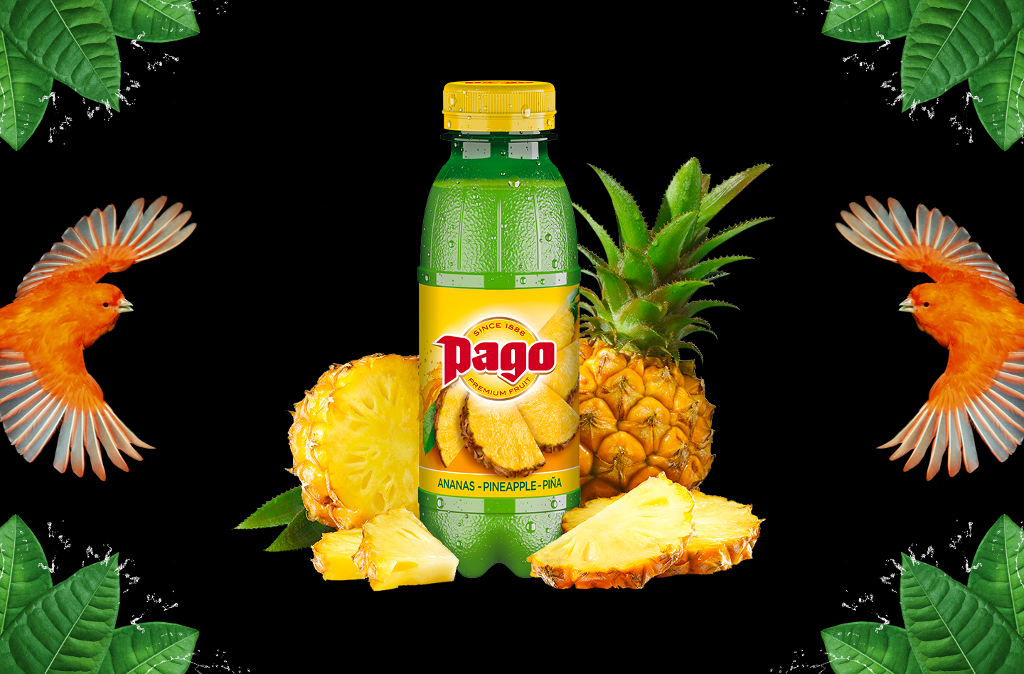 Nectar d’Ananas